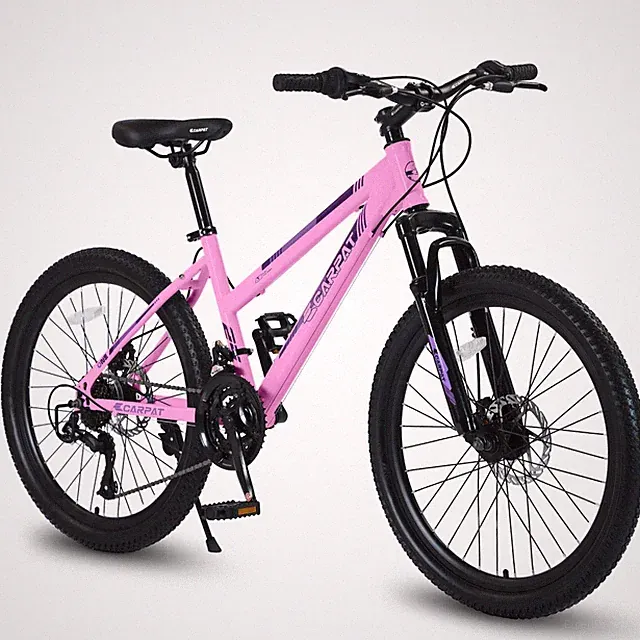 24" Women Mountain Bike Shimano 21-Speed Dual Disc Brake 100mm Front Suspension