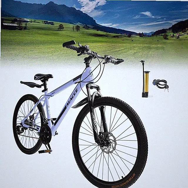 26" wheels 27 speed double disc brake mountain bike MTB for adults Gray