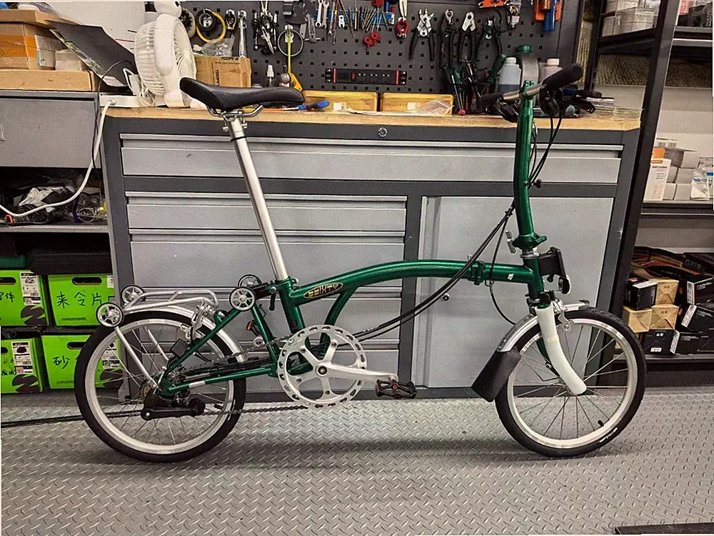 Green Adult