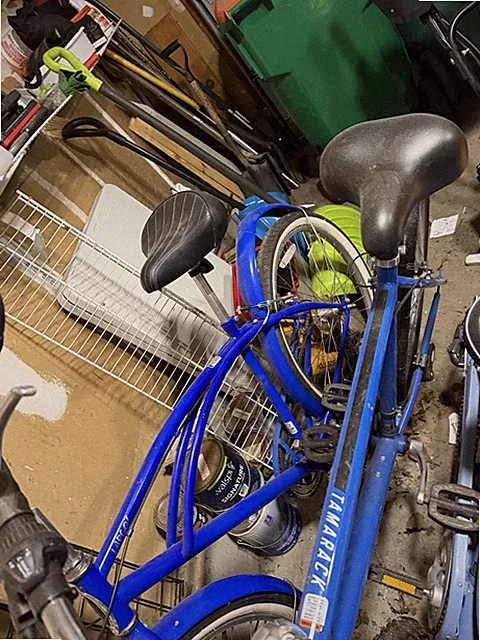 (4) Bicycles Adult