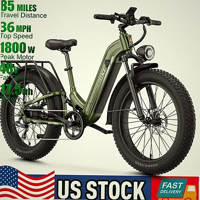 Adult Electric Dirt Bike Mountain Bike with 1800W Brushless Motor 36MPH/48V