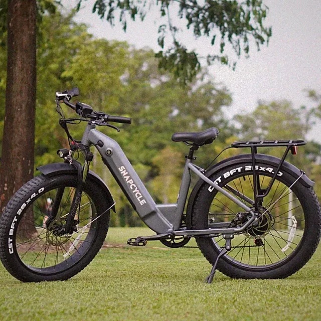 Electric Mountain Bicycle 1200W Peak 26'' x4.0 Fat Tire eBike mtb for Adult 15Ah