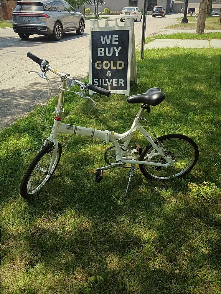 Silver Adult